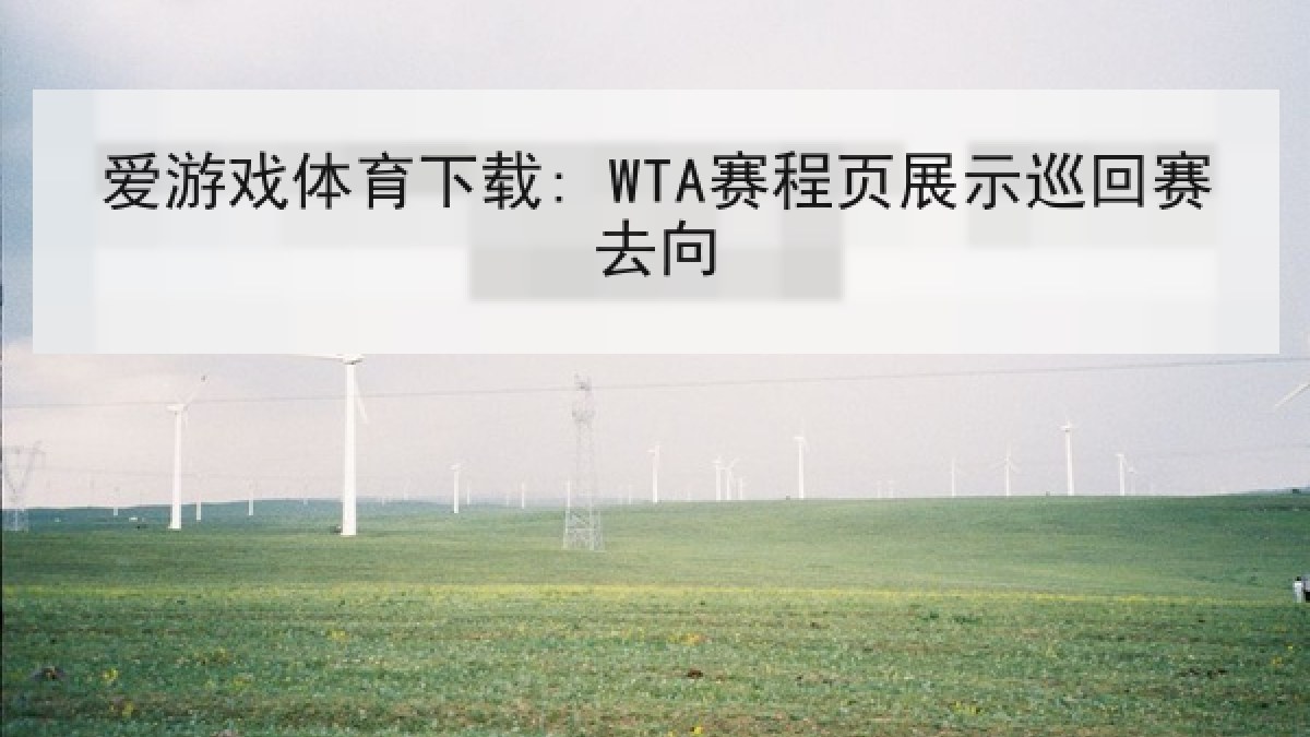 爱游戏体育下载: WTA赛程页展示巡回赛去向