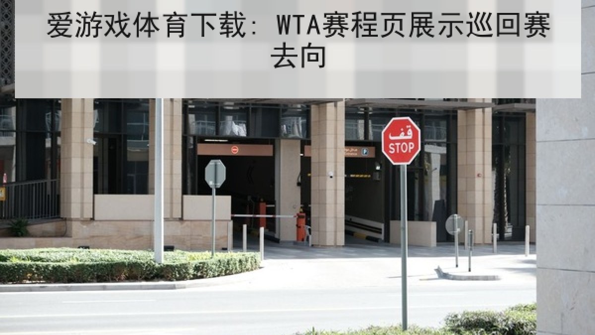 爱游戏体育下载: WTA赛程页展示巡回赛去向